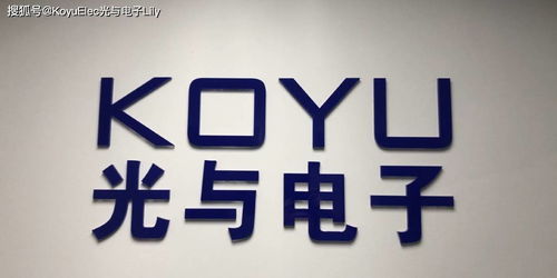 數(shù)字文化新體驗(yàn) 維安、光與電子及數(shù)字創(chuàng)意服務(wù)的融合之路